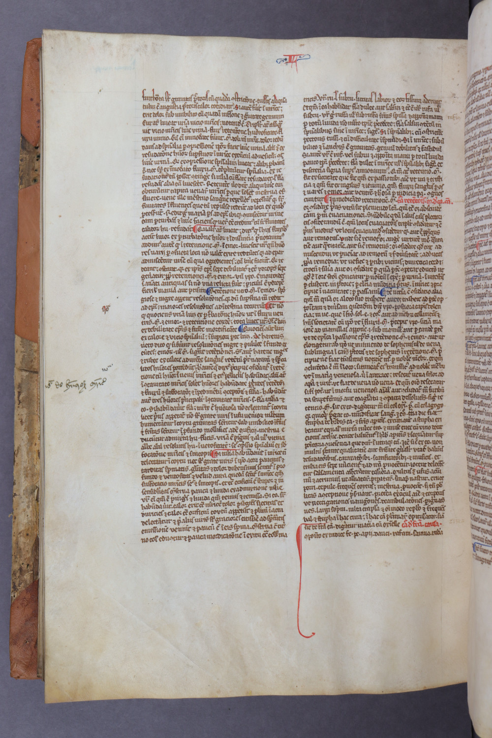 Folio 134 verso